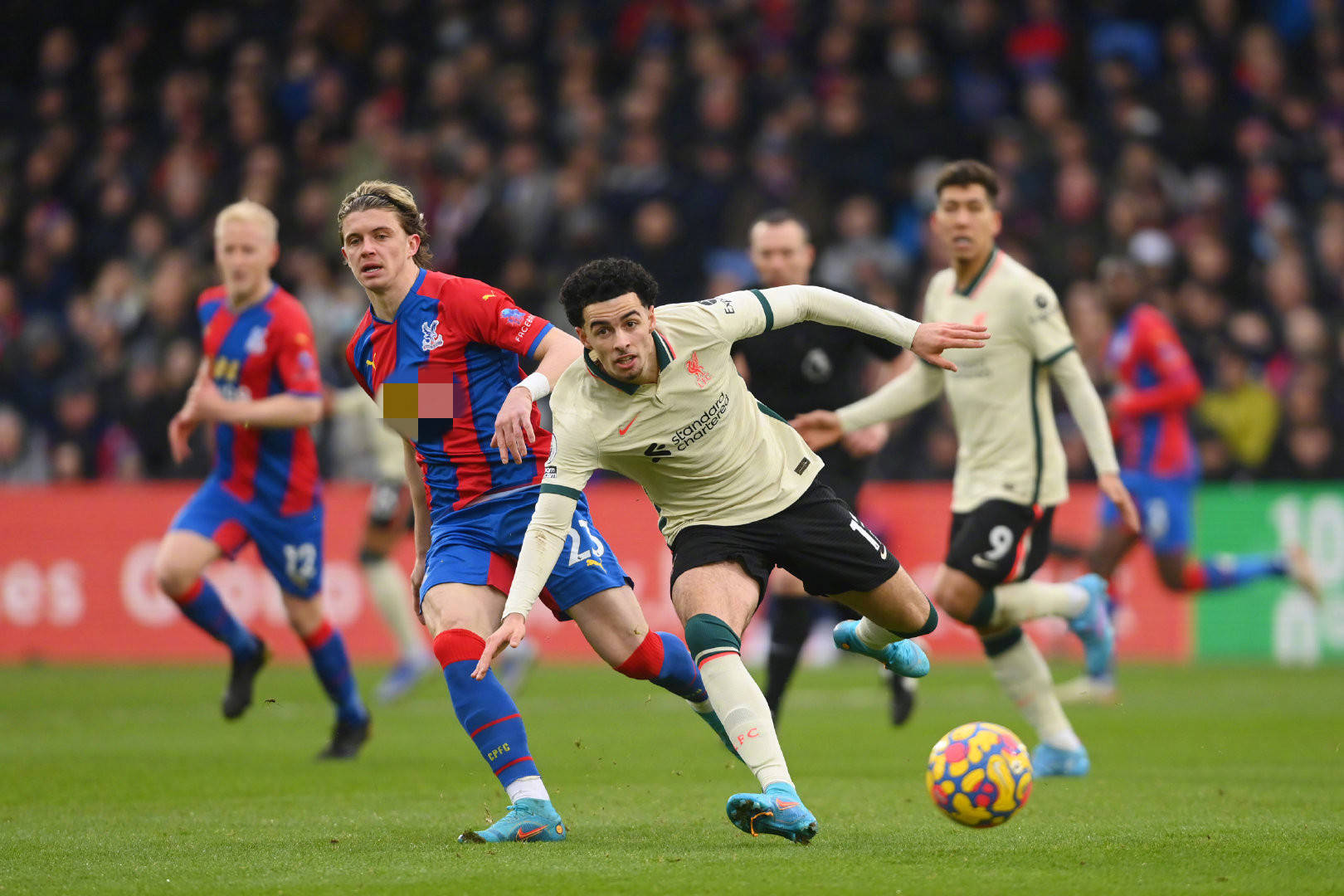 与戴维类似 与戴维类似